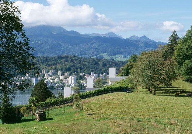 Terrassenhäuser Daniele Marques Aussenansicht Vierstättersee